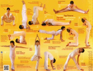 Prenatal-yoga---basic-postures